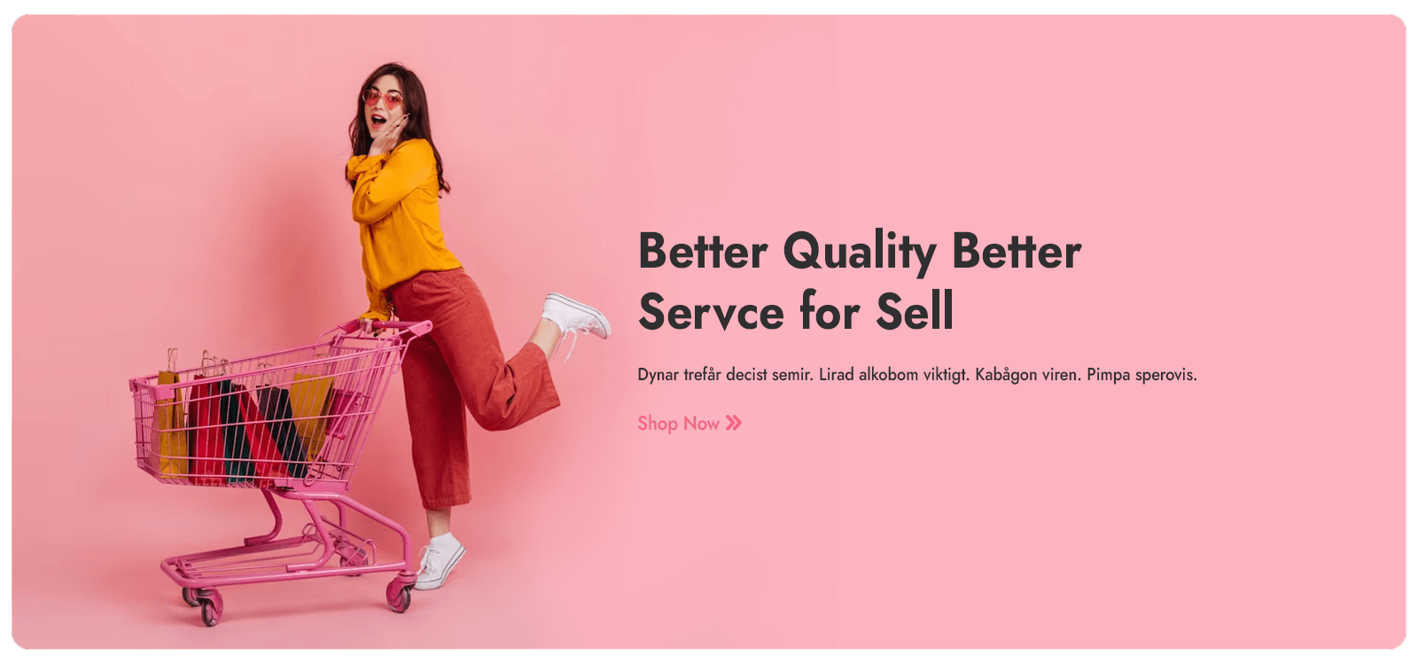 CiStoreX - Promotion Banners - Banner 1